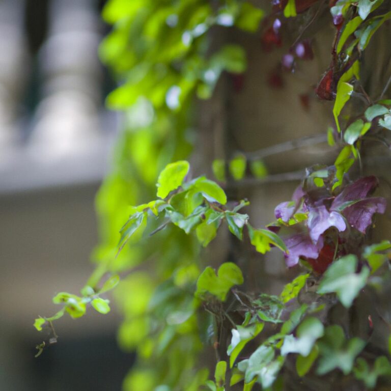 Welche Pflanzen für den Westbalkon? Pflanzenwissen pur
