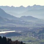 wie viele Bäume gibt es in der Schweiz