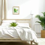 Pflanzen im Schlafzimmer gut oder schlecht