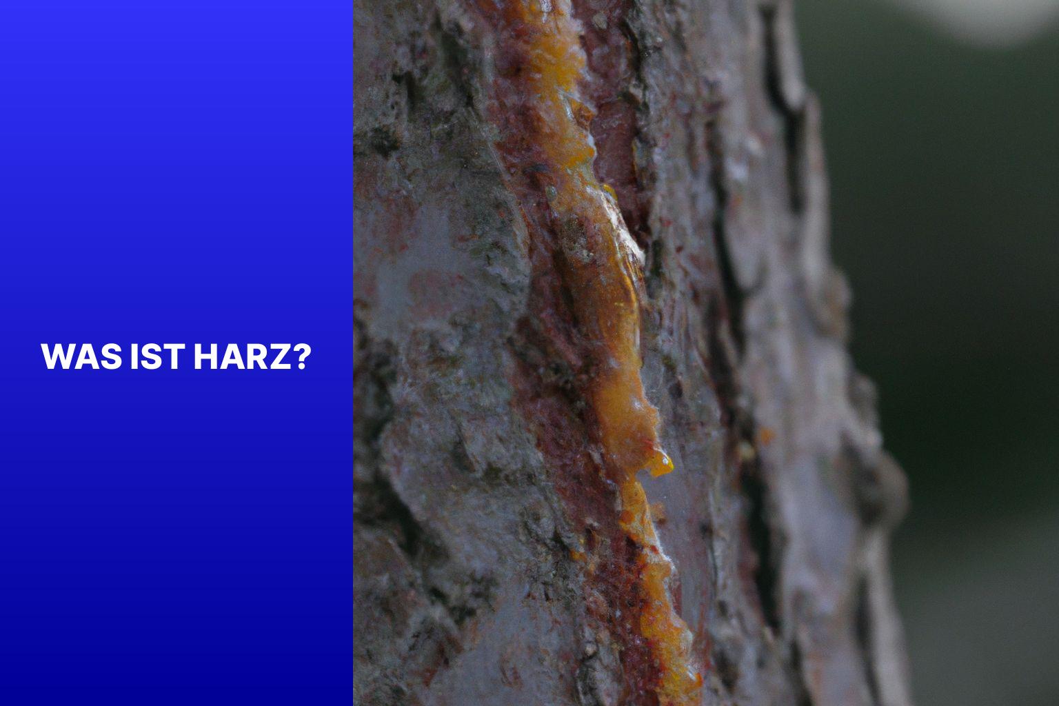 Was ist Harz? - warum harzen Nadelbäume 