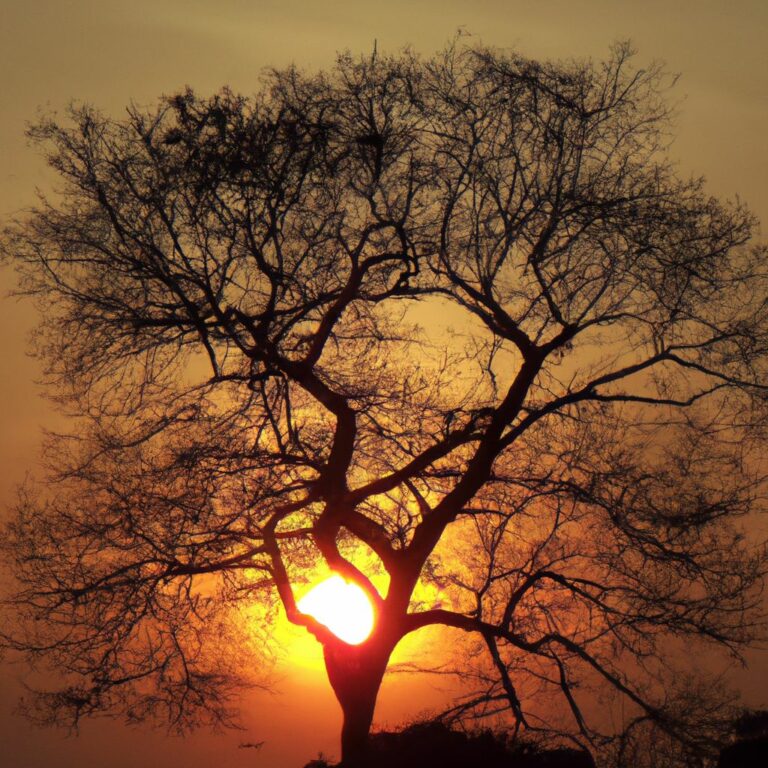 Wann Baum veredeln? - Pflanzenwissen pur