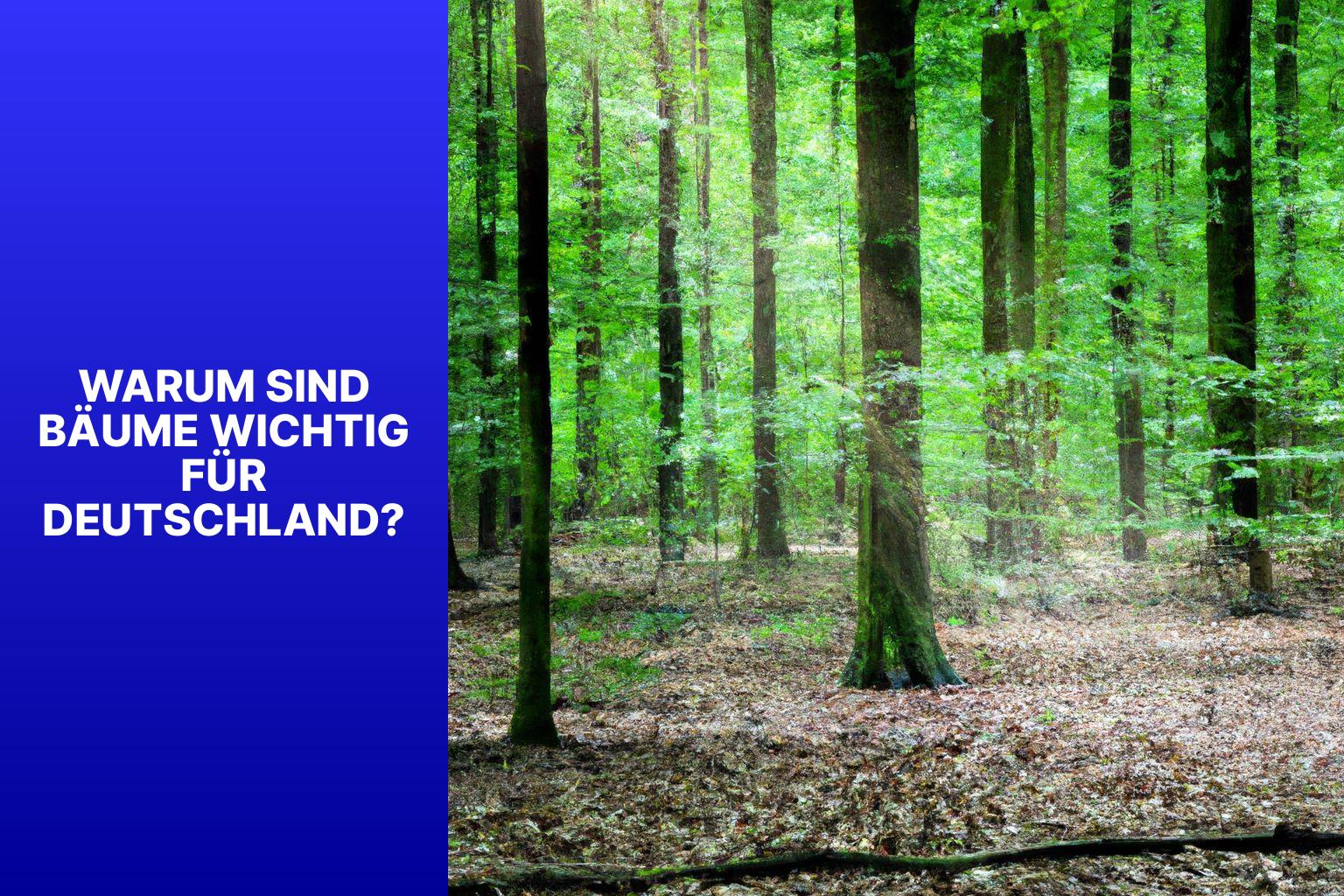Warum sind Bäume wichtig für Deutschland? - wie viel Bäume hat Deutschland 