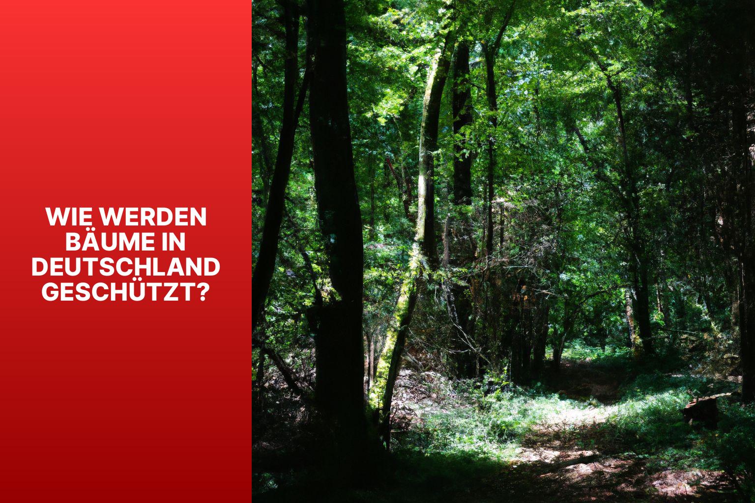 Wie werden Bäume in Deutschland geschützt? - wie viel Bäume hat Deutschland 
